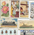 101 W  D    H  O  Wills Cigarette Company Different Tobacco Card Lot