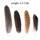 40 Pcs Natural Pheasant Plumage Feathers 5-8 Inches Plumage Feathers For Sewing