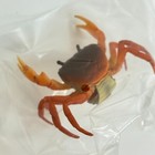 Nature Techni Colour Mini Figure Nature Of Japan 02 Japanese Freshwater Crab