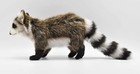 Hansa Real Stuffed Raccoon No5238