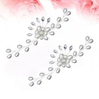 2pcs Pearl Shoe Buckles Wedding Crystal Hair Comb Rhinestone Shoe Decoration