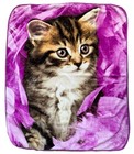 Adorable Hi-quality Northwest Cuddiford Kitten Purple Fleece Throw Blanket 48x58