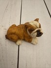Artefice Ottanta Bulldog Figurine With Bone Hand Painted Italy 2    Euc Charity