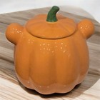 Disney Winnie The Pooh Halloween Jack O Lantern Pumpkin 8    Cookie  Jar