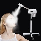 Home Spa Facial Steamer Professional Ozone Mist Machine For Skin Care 110v