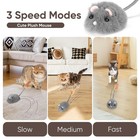 Pawingcat Remote Control Cat Toy Rechargeable Cat Mouse Toy Automatic Interac   