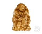 Real Sheepskin Rug Brown Tipped - Size 2 X 3  Lambskin