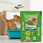 Original 100  Natural Low Dust Non-clumping Cat Litter - 20lbs-2pk
