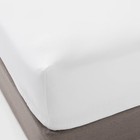 Queen Thread Count Performance Fitted Sheet - Threshold  Cotton Sateen