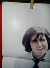 1 Vintage One Sheet Movie Poster For Hail  Hero  1969  Michael Douglas  T Wright
