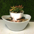 Tranquility Tabletop Water Fountain With Live Succulents Zen Free Shipping  693