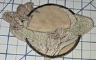 Ww2 36th Photo Recon Squadron Usaaf Cloth Patch Wwii Us Army Air Force
