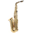 Alto Saxophone Brass Lacquered Gold Eb Sax With Carry Case   Accessories H6p9