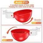 Automatic Chicken Waterer Diy Chicken Water Bowl 6 Pack Large Cups