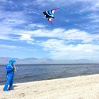 Delta Kite For Kids   Adults - Easy To Fly Large Single Line Beach Kite With 300