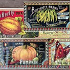 3 Diff Vintage Original 1890s Butterfly Olney   Floyd Tin Can Label Set Nos