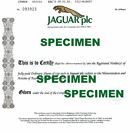      Personalized Jaguar Or Rolls-royce Stock Certificates Novelty     