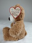 First   Main 12  Plush Tender Teddy Brown Bear Red Heart Plush Animal Nwt