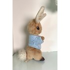Vintage Eden Toys Peter Rabbit Plush Beatrix Potter Blue Jacket Stuffed Animal