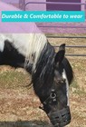 Ridefound Horse Grazing Muzzle  Comfort Wear Grazing Muzzle For Horses  Size S 