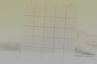 Rolleiflex Tlr Original Ground Glass Screen 56x64 For Non Remove Top Camera