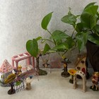 Unbranded Fairy Garden Miniature Accessory Set 12pc Multicolor Good Whimsical