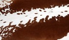 100  New Cowhide Rugs Area Cow Skin Leather  66 x 60   Cow Hide Sa-2048