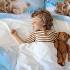 Yasida Cat Comforter Girls Summer Comforter Set Set Twin Size For Kids Blue