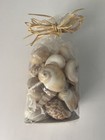 4 Bags Of Collectible Beautiful Decorative Seashells Different Sizes  