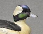 Sean Sutton Bufflehead Drake Duck Decoy Original Paint Excellent Condition