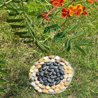 Slip-resistant Garden Stepping Stones Outdoor For Yard - 6-pack With Natural Mas