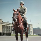 1 6 Scale War Horse Model With Saddle Accessories For 12   Action Figure