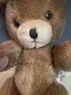 Vtg Teddy Bear Jointed Plush Stuffed Animal 15  Bear Dodwell And Co    Poseable