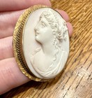 Antique Left Facing Victorian Carved Shell Cameo 10k Gold Pin Brooch 7 9 Grams
