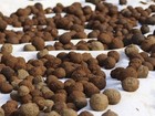 Bad Apples Doublemint Seed Bombs - Erosion Control For Steep Slopes - 1 Acre