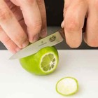 Victorinox 5 3000-x1 3 1 4  Spear Point Paring Knife With Large Wood Handle
