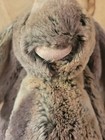 Jellycat Bashful Woodland Babe Bunny Plush 12  Medium Authentic Us Seller