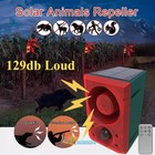 Solar Motion Sensor Alarm Emits Loud Dog Barking   Gunshot Sounds Up To 130db