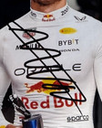      Max Verstappen  -  Red Bull honda  -  Signed  -  F1       6x4 Card