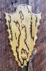 Lichtenberg Fractal Burn European Deer Skull Mount Plaque Pedestal Arrowhead