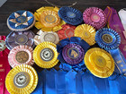 1970s- 1990s Lot 45 Horse Show Ribbons Rosettes Crafts Various Colors Ky Ny