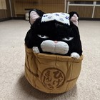 Amuse Hige Manjyu Plush Anko Cat Special Edition Warm Spring Japan Limited Rare