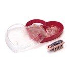 Hexbug Nano Valentine Pink Heart Case Love Bug