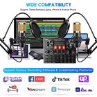 2 Studio Recording Kit Podcast Equipment Bundle Music Mixer W  2 Microphones New