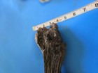 Medium Large Driftwood     Natural Aquarium   Terrarium D  cor