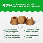 Greenies Pill Pockets For Dogs Small Size  Tablet Pill Treats For Dogs  Peanut