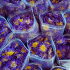 Blue Lotus Flower  nymphaea Caerulea  Premium Dried Organic Flowers Egyptian Tea