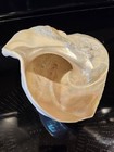  Large Beautiful Natural Mother Of Pearl Turbo Marmoratus Turban Shell Mop 