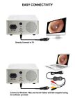 Portable Endoscopy Camera   Cold Led Light Source Hd Usb Ent Medical Endoscope