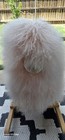 Restoration Hardware  rh Baby   Child  Mongolian Wool Rocking Animal Pink 